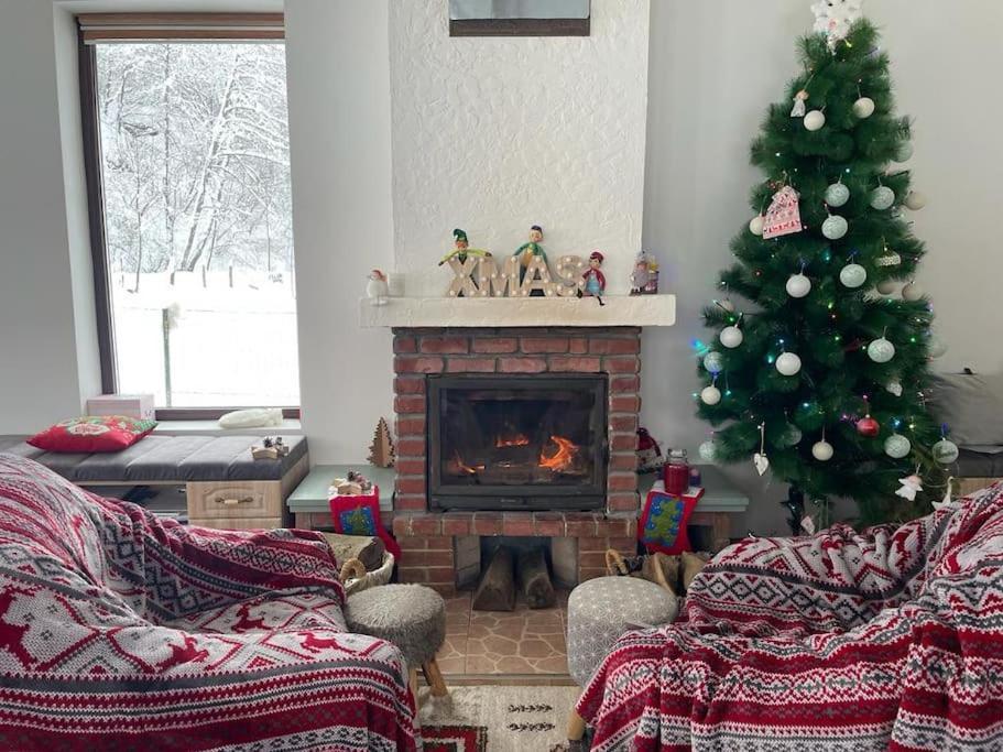 Cabana Pestera Bolii Petroşani エクステリア 写真