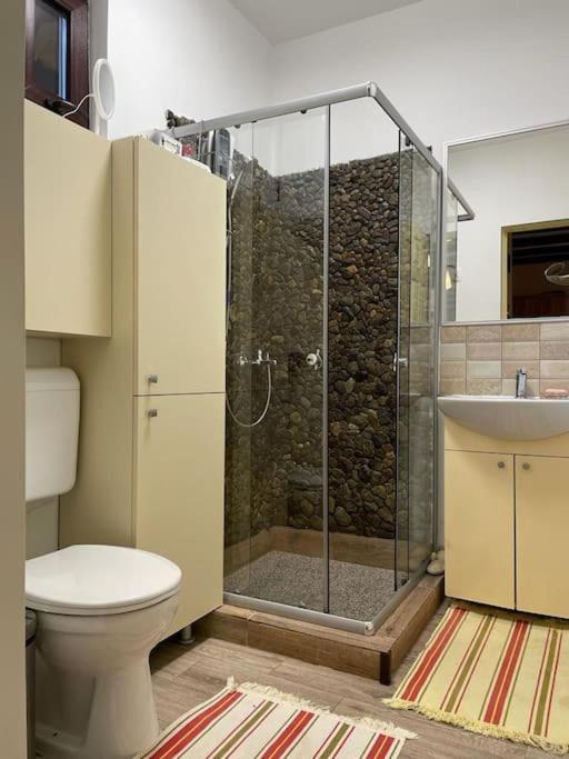 Cabana Pestera Bolii Petroşani エクステリア 写真