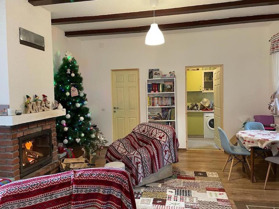 Cabana Pestera Bolii Petroşani エクステリア 写真