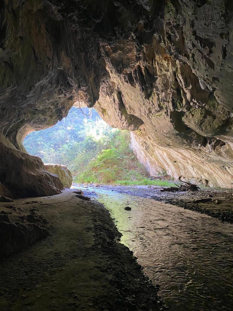 Cabana Pestera Bolii Petroşani エクステリア 写真