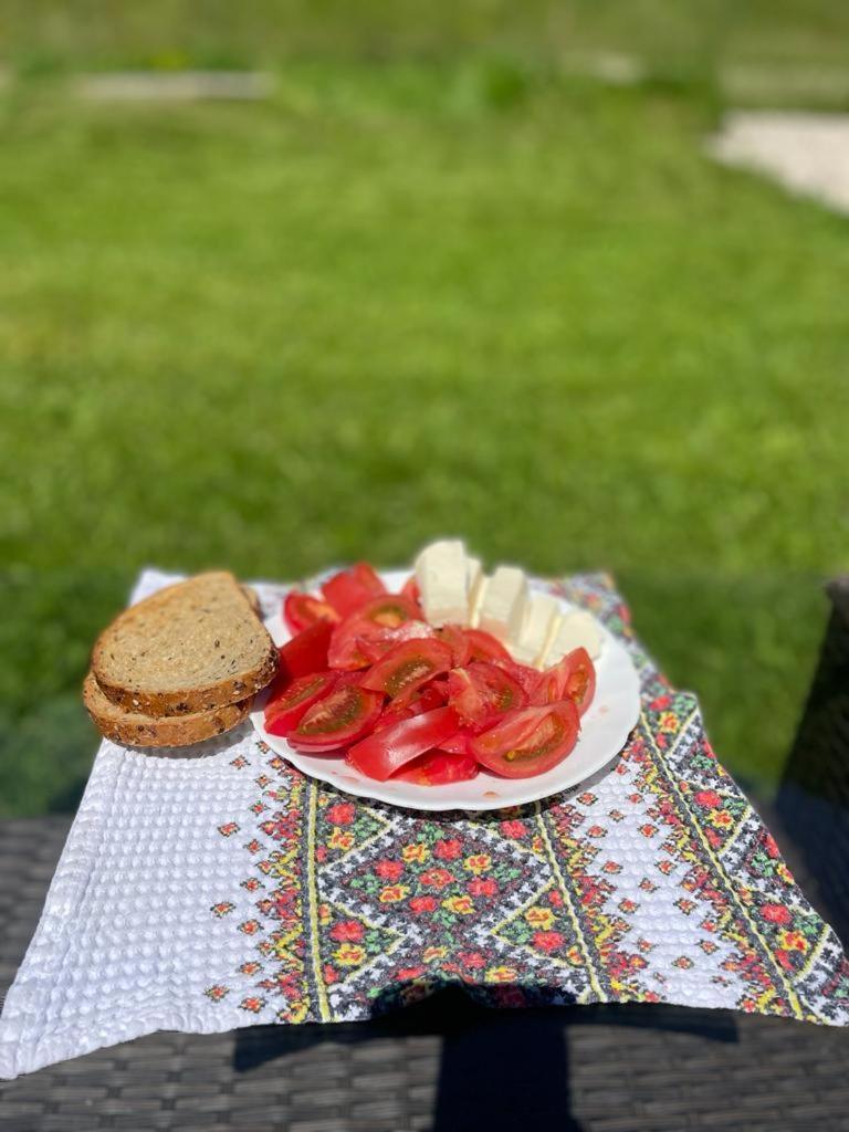 Cabana Pestera Bolii Petroşani エクステリア 写真